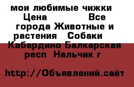 мои любимые чижки › Цена ­ 15 000 - Все города Животные и растения » Собаки   . Кабардино-Балкарская респ.,Нальчик г.